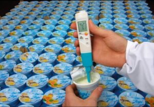 Testo 206ph  - Peachímetro
